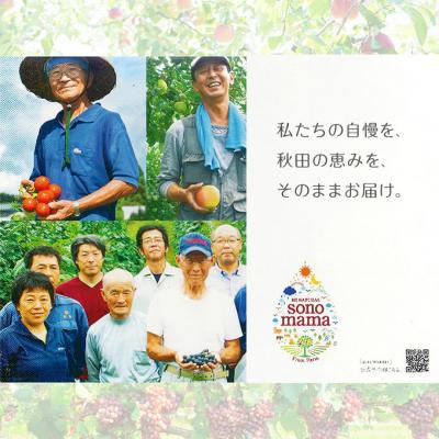 ふるさと納税 羽後町 《定期便3ヵ月》赤葡萄ジュース「sonomama」(160g×20本)[No.5325-0360]の画像