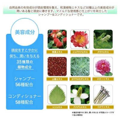 ふるさと納税 糸島市 【全6回定期便】[薬用]利尻頭皮シャンプー+コンディショナー[医薬部外品]2本[AZA104]の画像