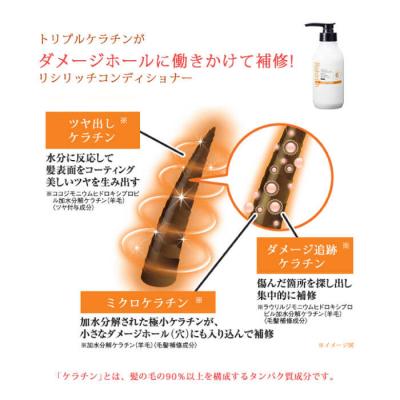 ふるさと納税 糸島市 【5本入】リシリッチコンディショナー[無添加]糸島市/株式会社ピュール[AZA131]の画像