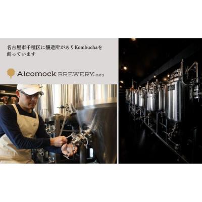 ふるさと納税 名古屋市 美味しく楽しめる!+Kombuchaの Kombucha半年定期コースの画像