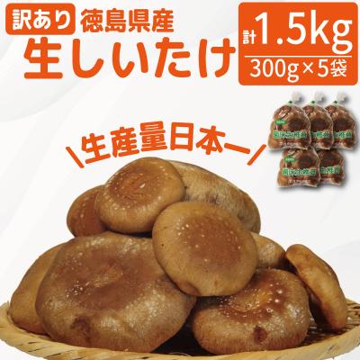 ふるさと納税 小松島市 訳あり 生しいたけ 1.5kg 300g×5袋 徳島県産