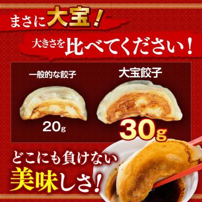 ふるさと納税 横浜市 国産食材、銘柄豚使用!肉汁あふれる!【横浜大宝餃子】もちもち国産ジャンボ大宝餃子　30個×4_1
