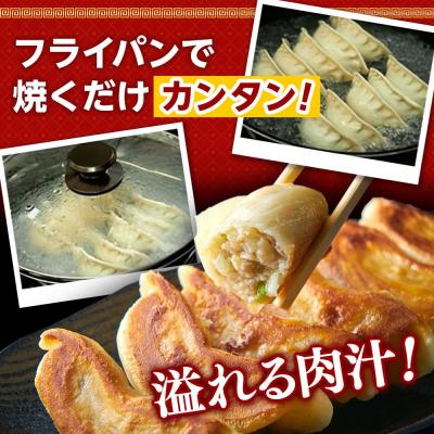 ふるさと納税 横浜市 国産食材、銘柄豚使用!肉汁あふれる!【横浜大宝餃子】もちもち国産ジャンボ大宝餃子　30個×4_2
