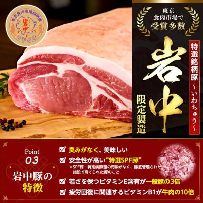 ふるさと納税 横浜市 国産食材、銘柄豚使用!肉汁あふれる!【横浜大宝餃子】もちもち国産ジャンボ大宝餃子　30個×4_3
