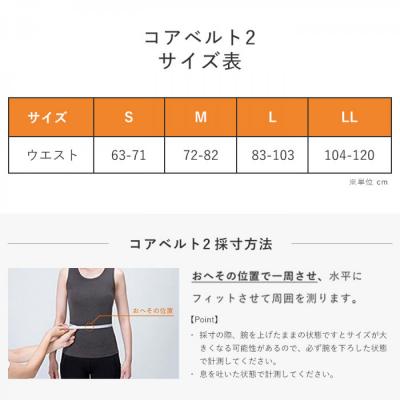 ふるさと納税 名古屋市 SIXPAD Core Belt 2【Lサイズ】 シックスパッド