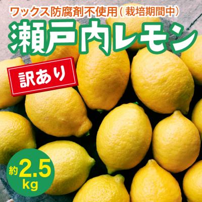 ふるさと納税 三原市 [先行受付]瀬戸内 訳ありレモン 約2.5kg[栽培期間中防腐剤ワックス不使用] [017-059]