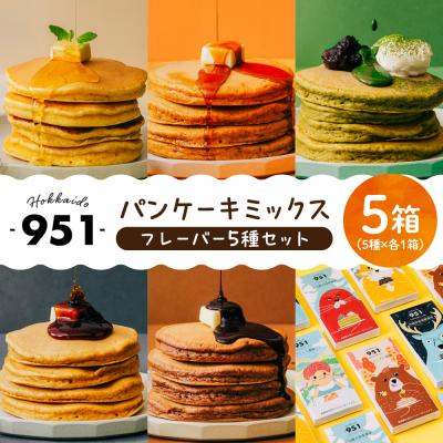 ふるさと納税 札幌市 951パンケーキミックス 5個セット_hs359-013