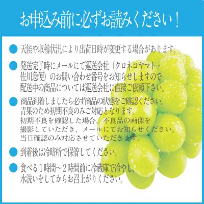 ふるさと納税 瀬戸内市 【先行受付】 シャインマスカット晴王 2房 (約1.2kg) 岡山県産 [No.5735-2158]の画像