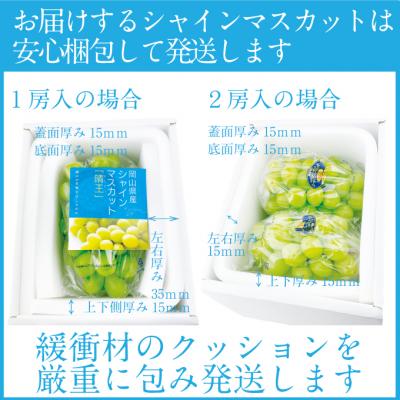 ふるさと納税 瀬戸内市 【先行受付】 シャインマスカット晴王 2房 (約1.2kg) 岡山県産 [No.5735-2158]の画像