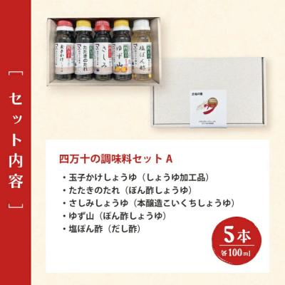 ふるさと納税 四万十市 【お試し・少量タイプ】 四万十の調味料5本セットA(各100ml)26の画像