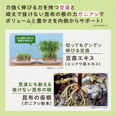ふるさと納税 糸島市 【3箱入 90日分】いとびはつ はぐくむ青汁 糸島市 / 株式会社ピュール [AZA265]の画像
