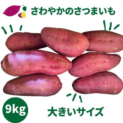 ふるさと納税 鳴門市 さわやかのサツマイモ 大きいサイズ 9kg