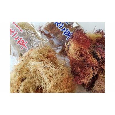 ふるさと納税 深浦町 青森県深浦町産 えご草 2種セット 