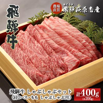 ふるさと納税 下呂市 [冷凍]飛騨牛しゃぶしゃぶセット計400g(もも 200g・肩ロース 200g[22-32(1)]