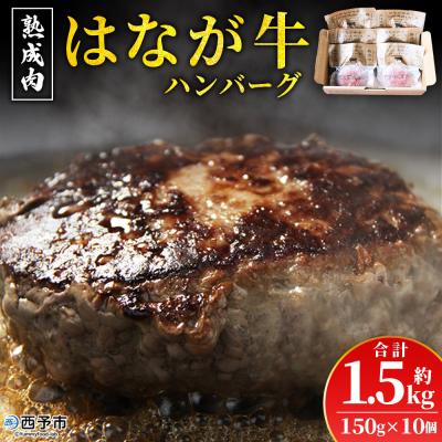 ふるさと納税 西予市 <熟成肉 はなが牛ハンバーグ 10個(1個150g)> 肉 お肉 牛肉 牛 ビーフ 牛100%