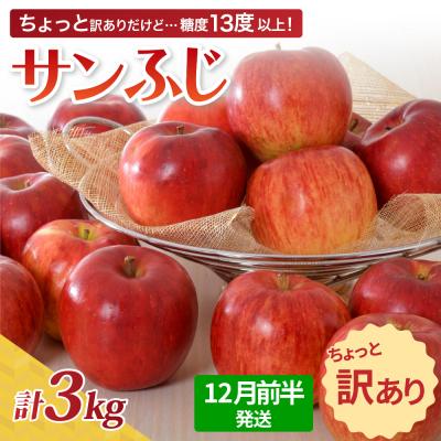 ふるさと納税 五所川原市 [2025年12月前半発送][ちょっと訳あり]サンふじ 約3kg