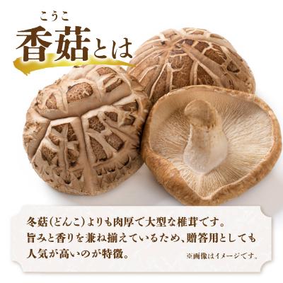 ふるさと納税 大分市 大分県産椎茸 香〓 逸品 IP-A_F07016の画像