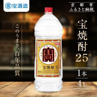 ふるさと納税 京都市 【タカラ】宝焼酎25°4L×1本 エコペットN|焼酎 宝