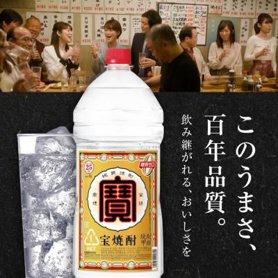 ふるさと納税 京都市 【タカラ】宝焼酎25°4L×1本 エコペットN|焼酎 宝