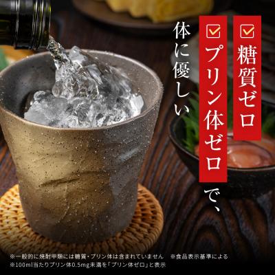 ふるさと納税 京都市 【タカラ】宝焼酎25°4L×1本 エコペットN|焼酎 宝