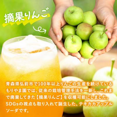 ふるさと納税 弘前市 テキカカアップルソーダ 330ml×24本 もりやま園|24_mye-102401の画像