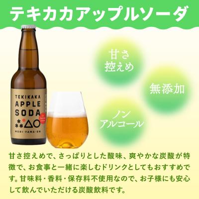 ふるさと納税 弘前市 テキカカアップルソーダ 330ml×24本 もりやま園|24_mye-102401の画像