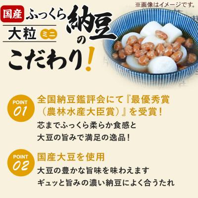 ふるさと納税 美郷町 ヤマダフーズ 国産 ふっくら大粒 ミニ 2パック×8個(計16個)|01_ymf-231601の画像