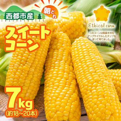ふるさと納税 西都市 朝どれ スイートコーン ゴールドラッシュ7kg 西