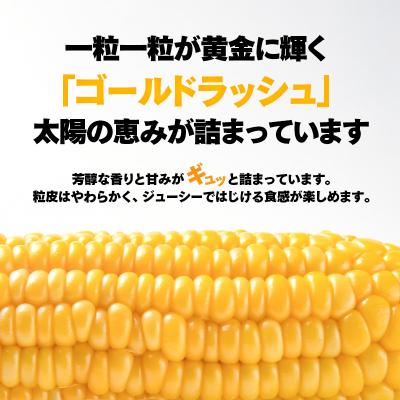 ふるさと納税 西都市 朝どれ スイートコーン ゴールドラッシュ7kg 西