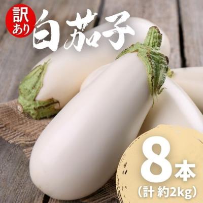 ふるさと納税 室戸市 【訳あり】 農家直送 白茄子 土佐の美味茄子の