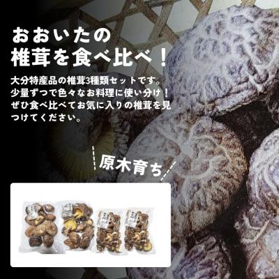 ふるさと納税 豊後高田市 干し椎茸セット(どんこ・香信各100g×1/こつぶ80g×2) 原木栽培_1