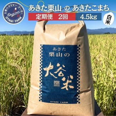 ふるさと納税 能代市 定期便2ヶ月 令和7年産 精米 あきたこまち 大谷米 4.5kg×2回 