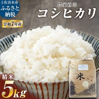 ふるさと納税 土佐清水市 農家直送 令和7年産 コシヒカリ 精米 5キロ 白米 コシヒカリ 高知県産[R01508]