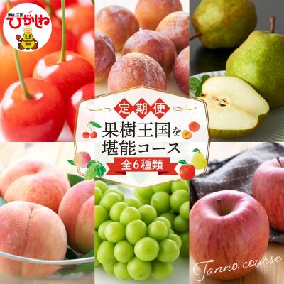 ふるさと納税 東根市 [2026年先行受付 6回 定期便]果樹王国を堪能コース 山形県 東根市