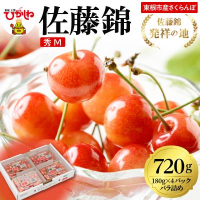 ふるさと納税 東根市 2026年 東根産さくらんぼ「佐藤錦」720g 秀品 Mサイズ hi027-216