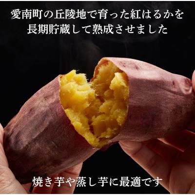 サニー 紅はるか粉吹きA品 10kg 楽天市場】ふるさと納税 紅はるか 10kgの通販