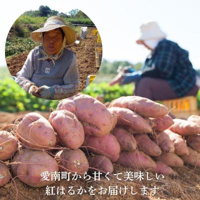 サニー 紅はるか粉吹きA品 10kg 熟成1か月超でお届け】富山県産 紅はるか 10kg 大きさ無選別：富山県産