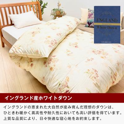 ふるさと納税 淡路市 1.3kg イングランドダウン93% 二層式 羽毛布団 SL