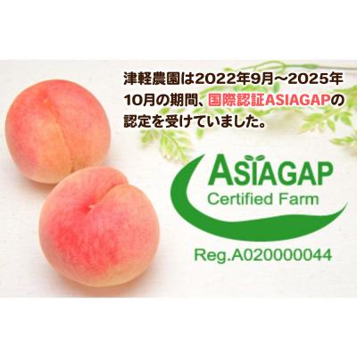 ふるさと納税 弘前市 もも【2026年産 桃の王様 川中島】特秀 約1.5kg|24_tgn-080101の画像