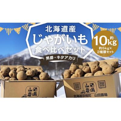 ふるさと納税 京極町 北海道産じゃがいも男爵5kg・キタアカリ5kg食べ比べセット 山田農場