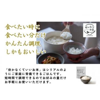 ふるさと納税 岐阜県 炊かなくていいお米 10袋セット GPF-11