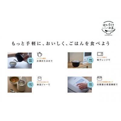 ふるさと納税 岐阜県 炊かなくていいお米 10袋セット GPF-11