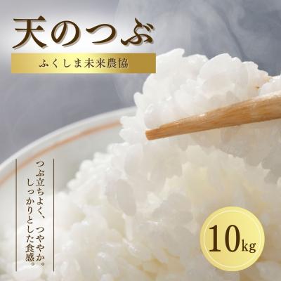 ふるさと納税 南相馬市 白米 10kg 天のつぶ 令和7年産 お米 ふくしま未来農協[53862-001-01]