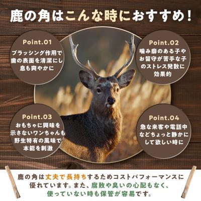 ふるさと納税 津別町 プレシカ 鹿の角 Mサイズ(15センチ半割り1本) 3袋の画像