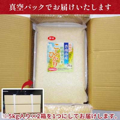 ふるさと納税 香南市 無洗米 特別栽培米 コシヒカリ 10kg 令和8年産 真空パック 備蓄 10キロ 米 nu-0004_3