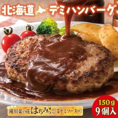 ふるさと納税 滝川市 北海道デミハンバーグ1食200g 9セット 北海道 冷凍 個包装 小分け | 