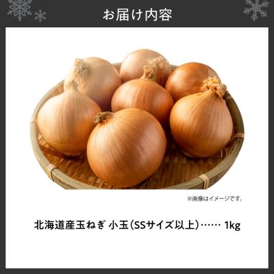 ふるさと納税 札幌市 玉ねぎ 北海道産 小玉 1kg SSサイズ以上_hs362-006の画像