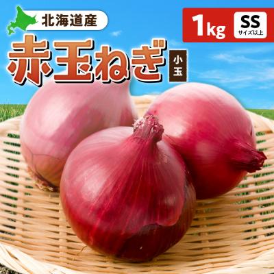 ふるさと納税 札幌市 赤玉ねぎ 北海道産 小玉 1kg SSサイズ以上_hs362-016