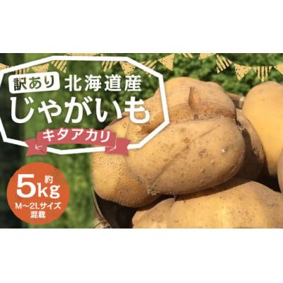 ふるさと納税 京極町 [2025年11月上旬発送予定][訳あり]北海道産じゃがいも (キタアカリ) 約5kg 山田農場