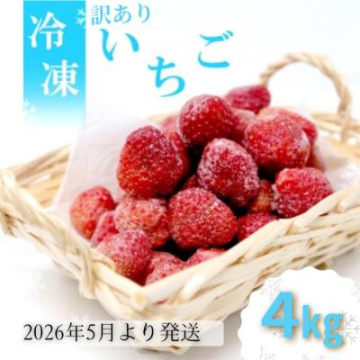 ふるさと納税 小郡市 訳あり いちご 白木のいちご 旬のおいしさそのまま 冷凍いちご 4kg[No5354-2275]